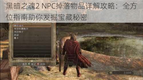 黑暗之魂2 NPC掉落物品详解攻略：全方位指南助你发掘宝藏秘密