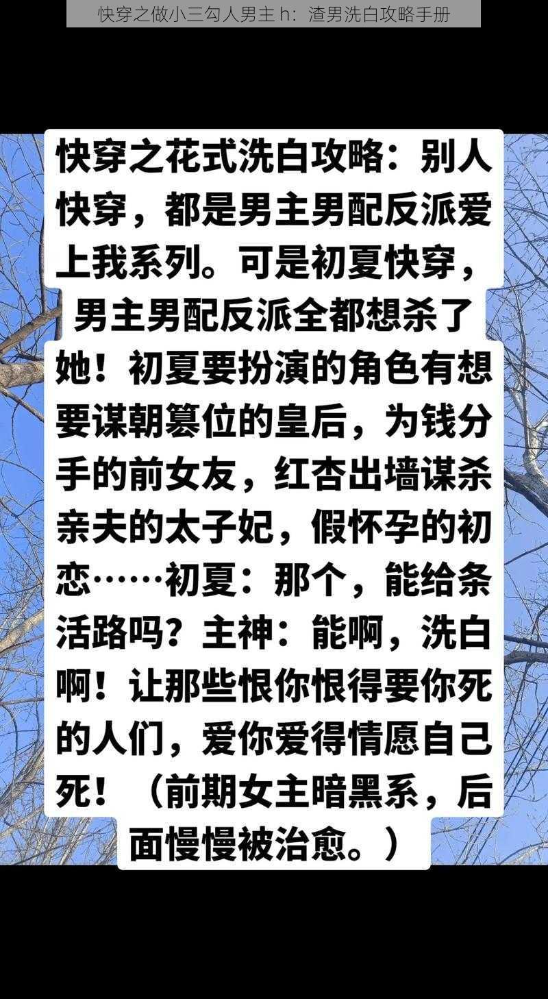 快穿之做小三勾人男主 h：渣男洗白攻略手册