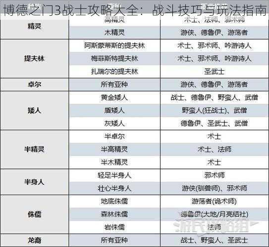 博德之门3战士攻略大全：战斗技巧与玩法指南